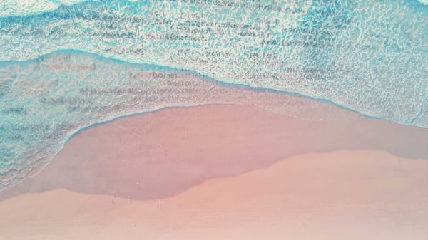 dataocean-1